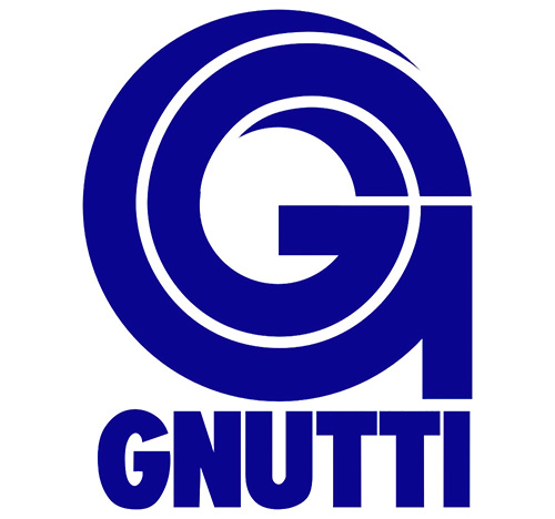 team 4.0 logo GNUTTI CARLO