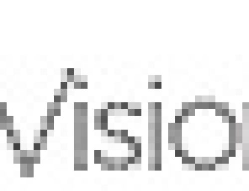VEDI VISION s.r.l